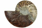 Cut & Polished Ammonite Fossil (Half) - Crystal Pockets #308175-1